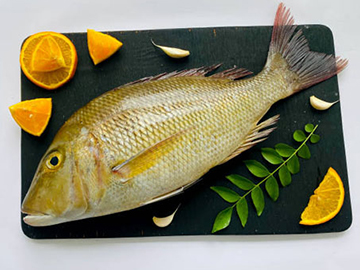 Emperor Fish